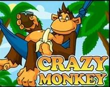 Crazy Monkey игровой автомат.